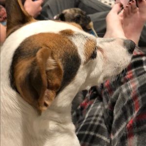 Meet your Posher, Natasha